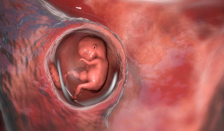 The Sancity of the embryo