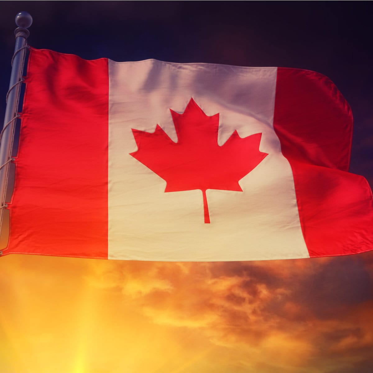 Updates to Canadian Patent Rules - Schlich Ltd