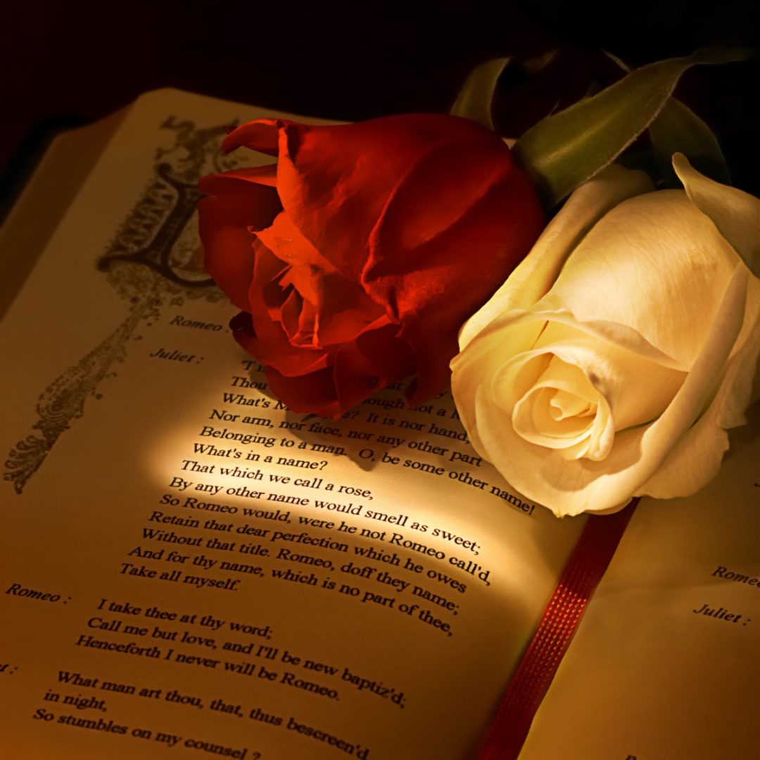 Shakespeare quote and Rose