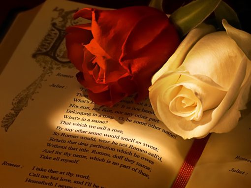 Shakespeare quote and Rose